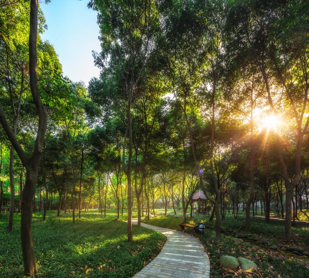 Chengdu Wangjiang Hotel Εξωτερικό φωτογραφία